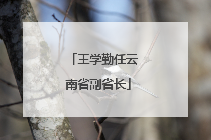 王学勤任云南省副省长