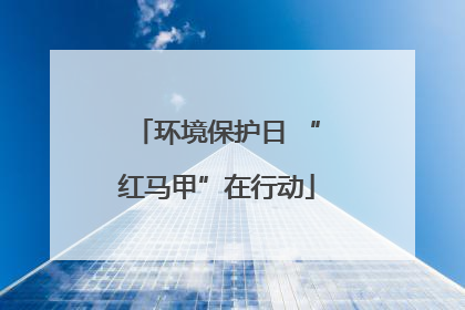 环境保护日 “红马甲”在行动