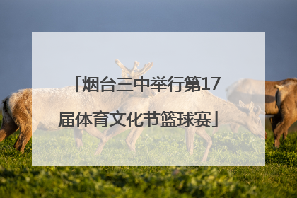 烟台三中举行第17届体育文化节篮球赛