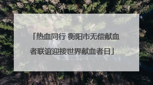 热血同行 衡阳市无偿献血者联谊迎接世界献血者日