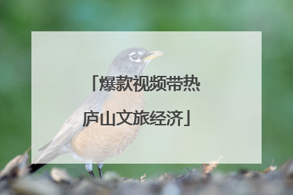 爆款视频带热庐山文旅经济
