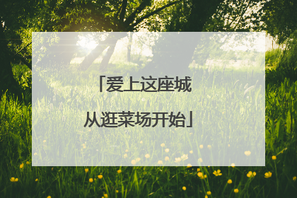 爱上这座城 从逛菜场开始