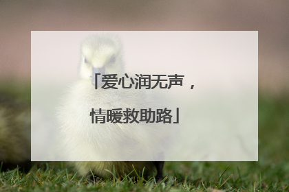 爱心润无声，情暖救助路