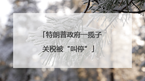 特朗普政府一揽子关税被“叫停”