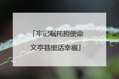 牢记嘱托担使命 文亭巷里话幸福