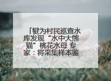 犍为村民巡查水库发现“水中大熊猫”桃花水母 专家：将采集样本鉴定具体种属