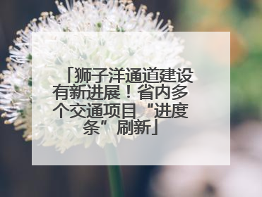 狮子洋通道建设有新进展！省内多个交通项目“进度条”刷新