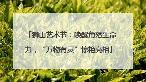 狮山艺术节：唤醒角落生命力，“万物有灵”惊艳亮相