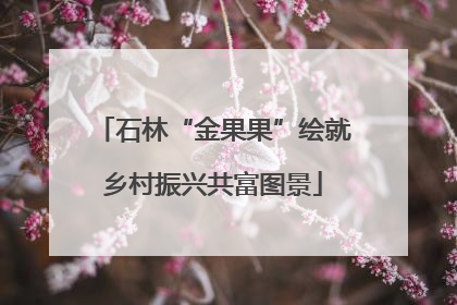 石林“金果果”绘就乡村振兴共富图景