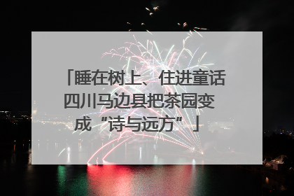 睡在树上、住进童话 四川马边县把茶园变成“诗与远方”