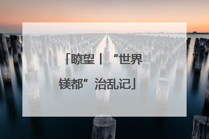 瞭望丨“世界镁都”治乱记