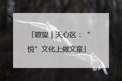 瞭望｜天心区：“悦”文化上做文章