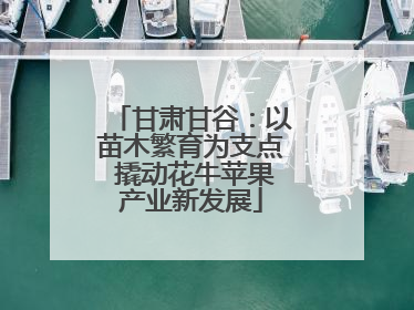 甘肃甘谷:以苗木繁育为支点 撬动花牛苹果产业新发展