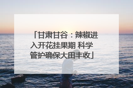 甘肃甘谷：辣椒进入开花挂果期 科学管护确保大田丰收