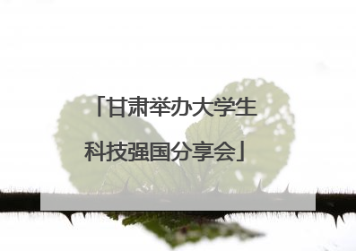 甘肃举办大学生科技强国分享会