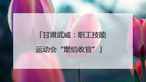 甘肃武威：职工技能运动会“燃情收官”