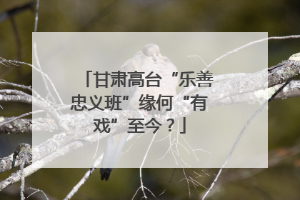 甘肃高台“乐善忠义班”缘何“有戏”至今？