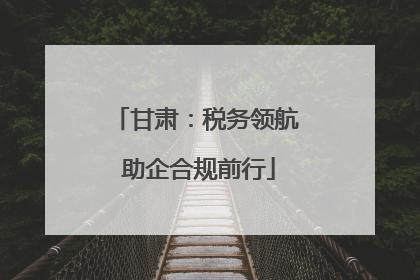 甘肃：税务领航 助企合规前行