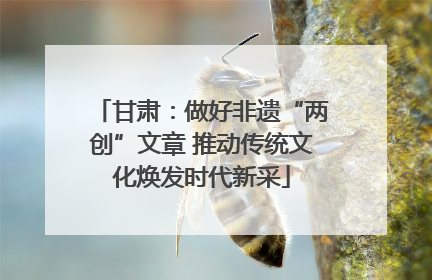 甘肃：做好非遗“两创”文章 推动传统文化焕发时代新采