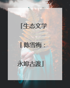 生态文学丨陈雪梅：永埠古渡