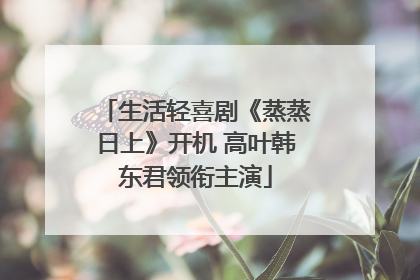 生活轻喜剧《蒸蒸日上》开机 高叶韩东君领衔主演