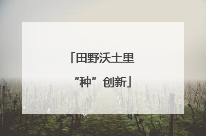 田野沃土里“种”创新