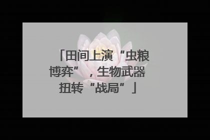 田间上演“虫粮博弈”，生物武器扭转“战局”