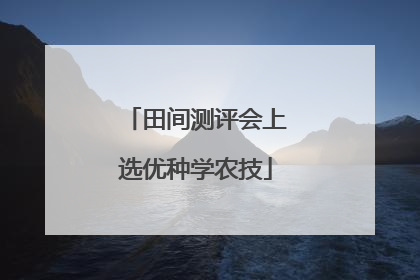 田间测评会上选优种学农技