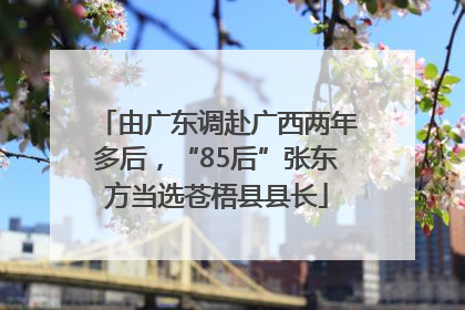 由广东调赴广西两年多后，“85后”张东方当选苍梧县县长
