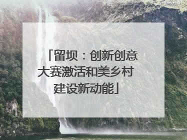 留坝：创新创意大赛激活和美乡村建设新动能