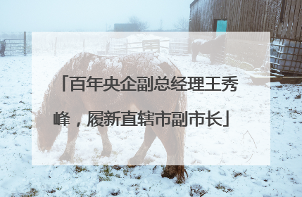 百年央企副总经理王秀峰，履新直辖市副市长