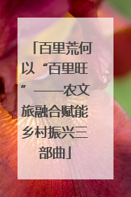 百里荒何以“百里旺”——农文旅融合赋能乡村振兴三部曲