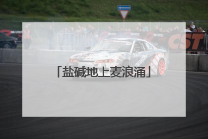 盐碱地上麦浪涌