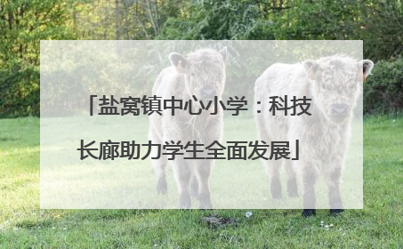 盐窝镇中心小学：科技长廊助力学生全面发展