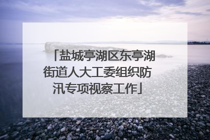 盐城亭湖区东亭湖街道人大工委组织防汛专项视察工作