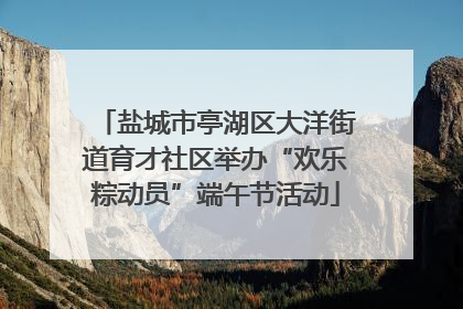盐城市亭湖区大洋街道育才社区举办“欢乐粽动员”端午节活动