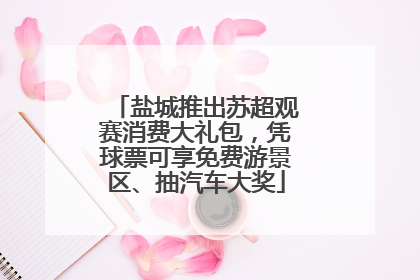 盐城推出苏超观赛消费大礼包，凭球票可享免费游景区、抽汽车大奖