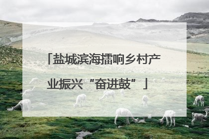 盐城滨海擂响乡村产业振兴“奋进鼓”