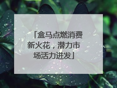 盒马点燃消费新火花，潜力市场活力迸发