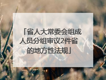省人大常委会组成人员分组审议2件省的地方性法规