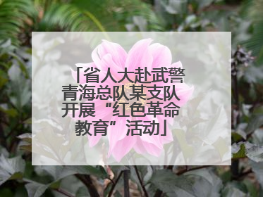 省人大赴武警青海总队某支队开展“红色革命教育”活动