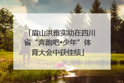 眉山洪雅实幼在四川省“奔跑吧•少年”体育大会中获佳绩