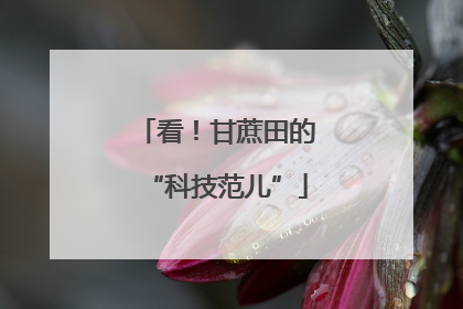 看！甘蔗田的“科技范儿”
