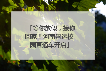 等你放假，接你回家！河南暑运校园直通车开启