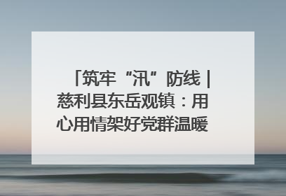 筑牢“汛”防线｜慈利县东岳观镇：用心用情架好党群温暖悠长的“连心桥”