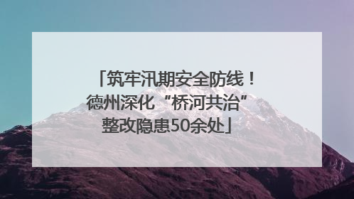 筑牢汛期安全防线！德州深化“桥河共治”整改隐患50余处