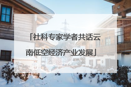 社科专家学者共话云南低空经济产业发展