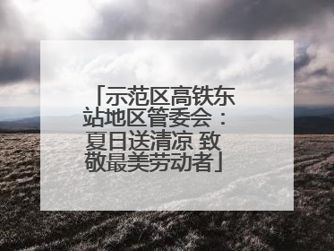 示范区高铁东站地区管委会：夏日送清凉 致敬最美劳动者