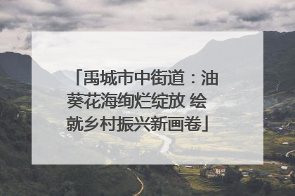 禹城市中街道：油葵花海绚烂绽放 绘就乡村振兴新画卷