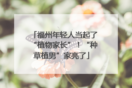 福州年轻人当起了“植物家长”！“种草植男”家亮了